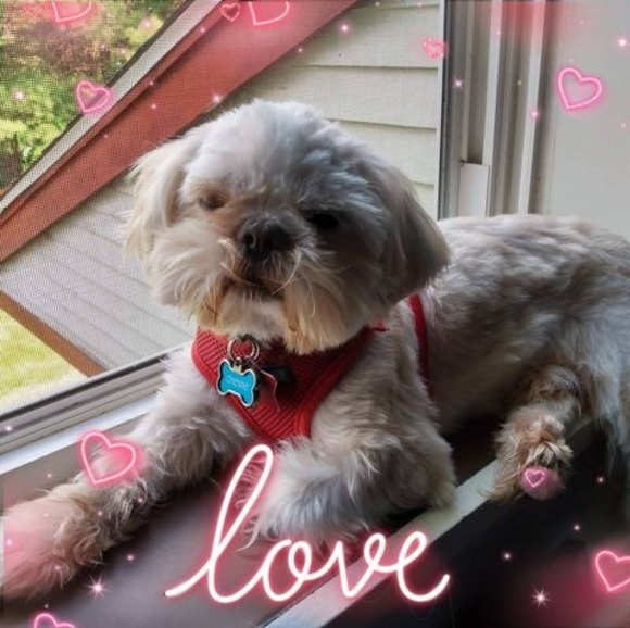 Meet your Posher, Marion - Picture 1 of 1